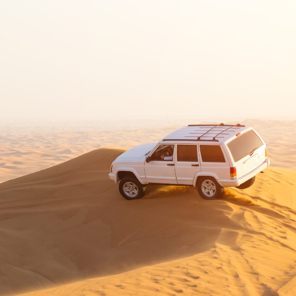 desert safari homepage 1